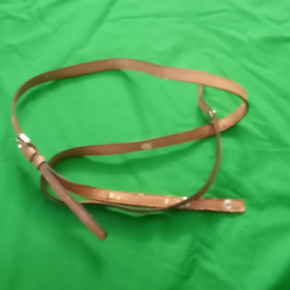 Purse/bag strap